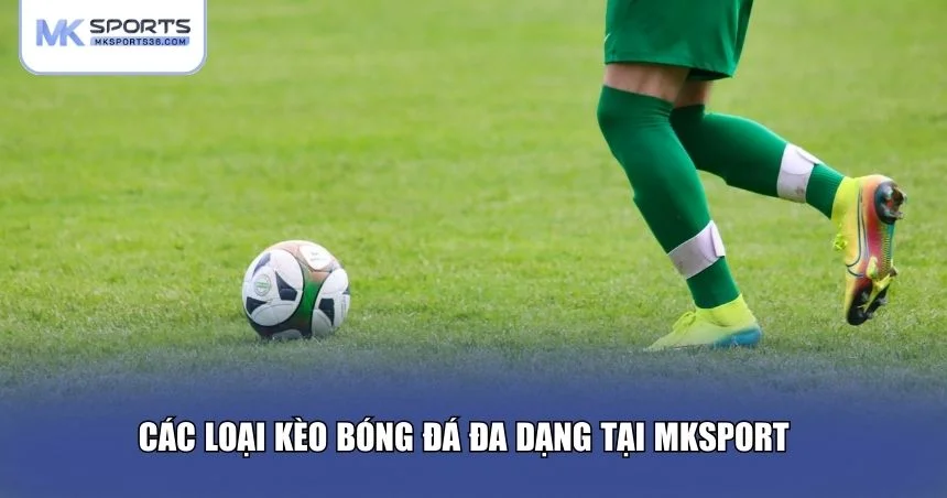 Các loại kèo bóng đá đa dạng tại MKSPORT