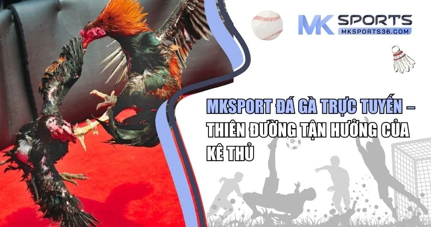 MKSPORT đá gà trực tuyến
